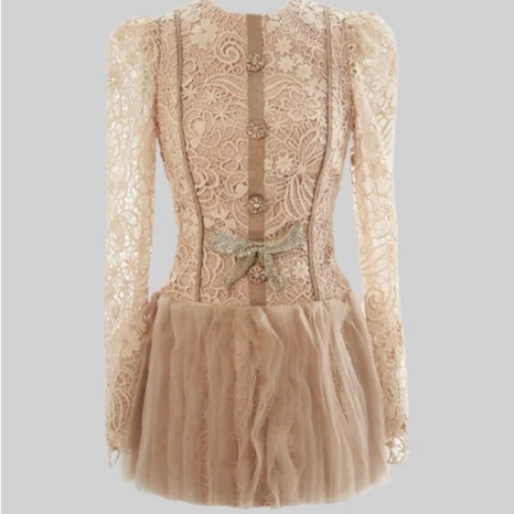 Elegant Lace and Tulle Dress